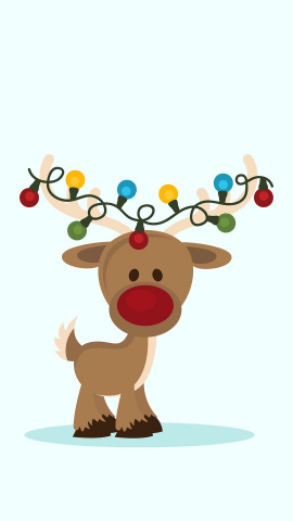 Reindeer